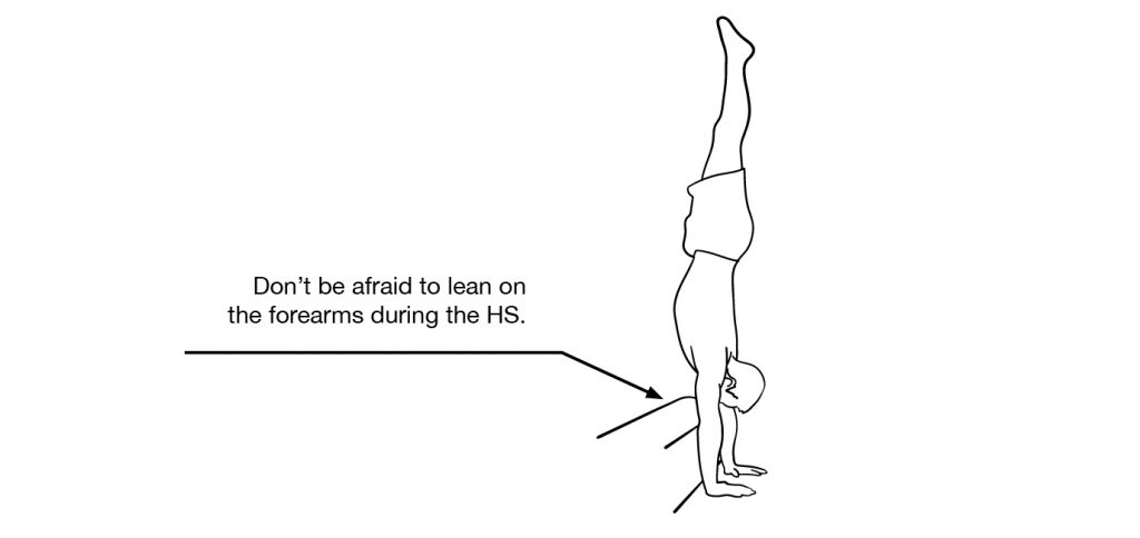 Forearm Supported Handstand